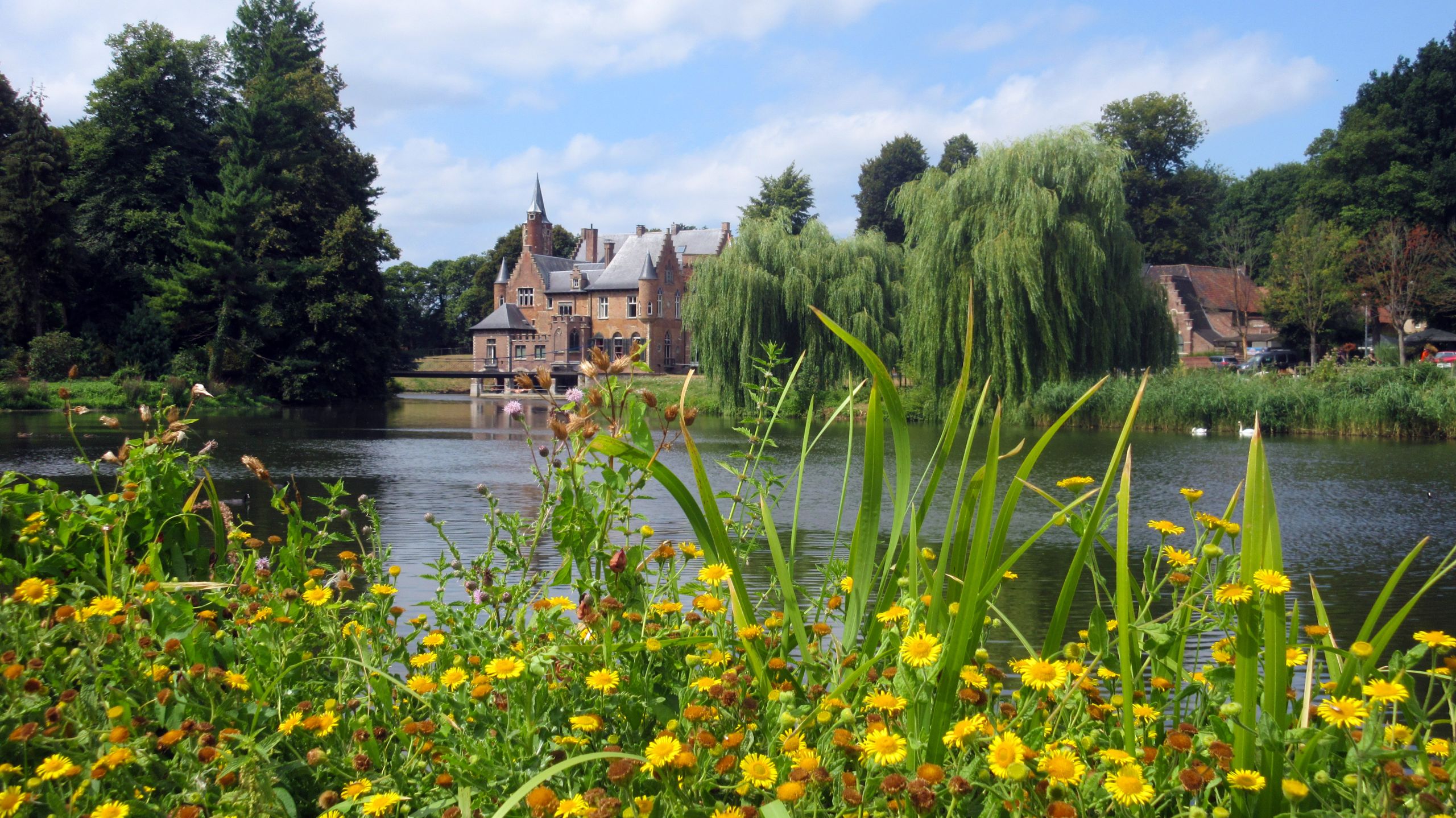 Naturlandschaft mit Wegen, Wiesen und einer kleinen Brücke, Flandern, Belgien